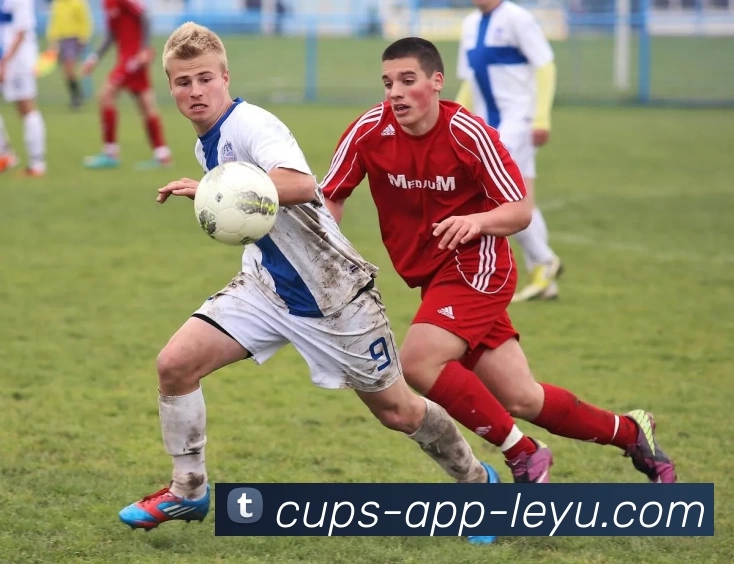 数据防护可视化